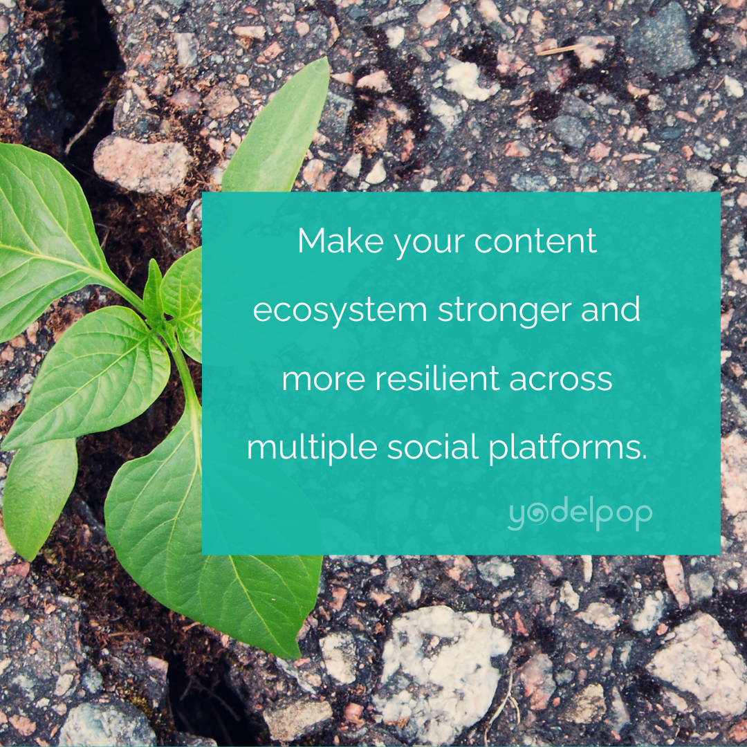 content-ecosystem-mulitple-social-platforms